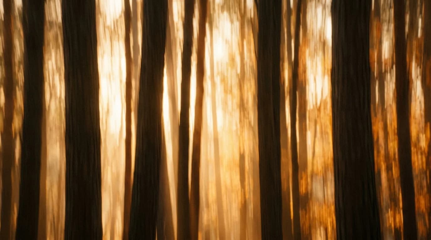 Vertical motion blur of light through native forest