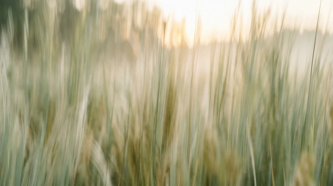 Vertical motion blur across a flowering meadow